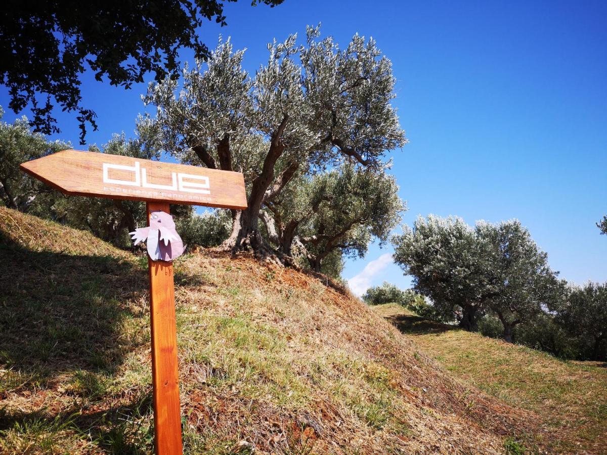 Due Esperienza Panoramica Villa Lamezia Terme Eksteriør billede